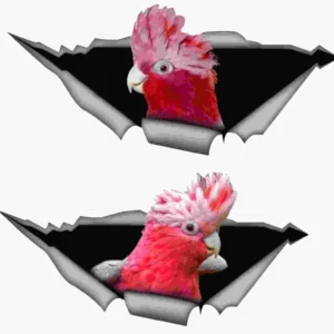 Pink and grey Galah escaping from from hole 1 left 1 right  facing 206 mx 105 m